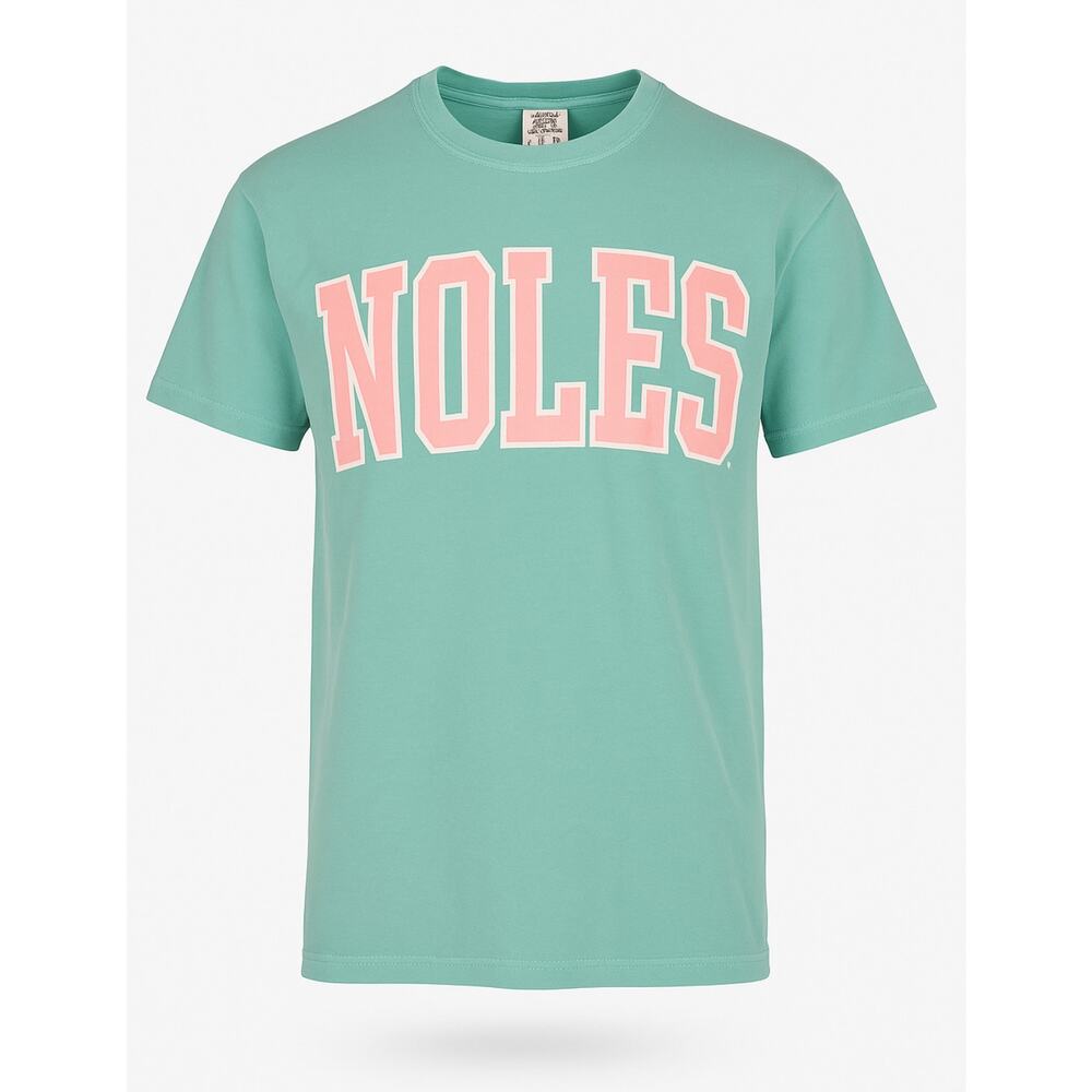 Comfort Colors NOLES Mint Green Pink Graphic Women’s Small FSU Seminoles Shirt